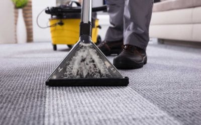 Carpet Cleaning for the Holidays