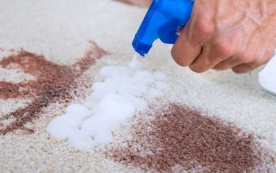 Five Tips to Get Stains Out of Your Carpet