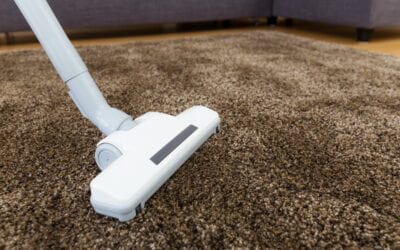 What Are The Most Essential Carpet Cleaning Tools That Every Professional Should Own?