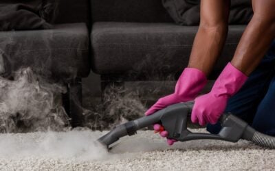 9 Carpet Cleaning Secrets Revealed by Pros (Part 2)