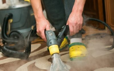 4 Important Carpet Care and Maintenance Tips