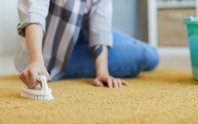 The Good and Bad of Different Carpet Cleaning Methods – Part 2