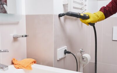 Why Professional Tile And Grout Cleaning Is Important?