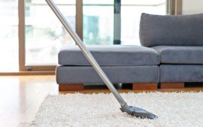 Why Is Winter The Perfect Time For Professional Carpet Cleaning?