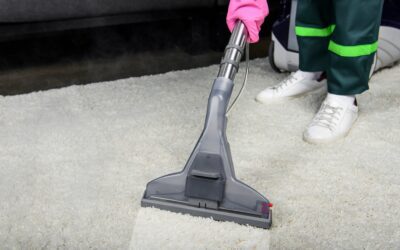 Top 10 Carpet Cleaning Tips To Carry Into 2025 (Part 2)