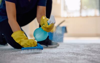 The Ultimate Guide To Removing Urine Stains From Carpet
