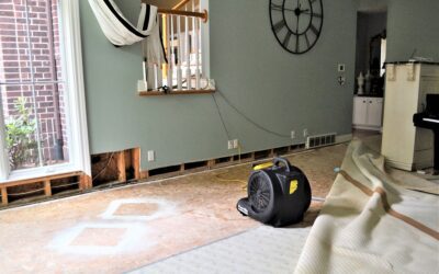 What To Do Within the First 24 Hours of Water Damage in Your Home