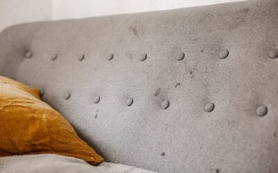 5 Common Culprits Behind Dirty Upholstery (And How to Handle Them)