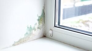 Water damage repair services in Las Vegas preventing expensive home repairs
