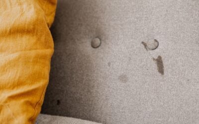 Hidden Risks of Dirty Upholstery Every Homeowner Should Know