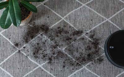 Why Do My Carpets Get Dirty So Fast in Las Vegas?