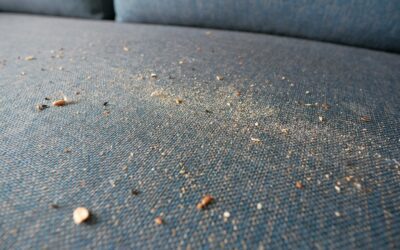 How Dirty Is Your Couch? What You Can’t See
