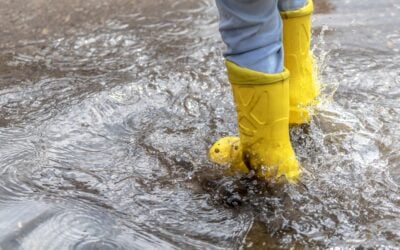 How Professional Flood Cleanup Saves You Money in the Long Run