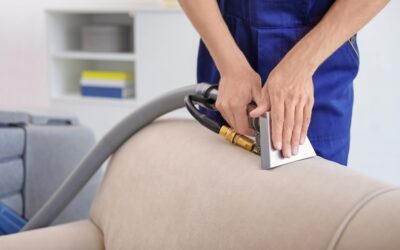 How to Keep Upholstery Fresh Between Professional Cleanings