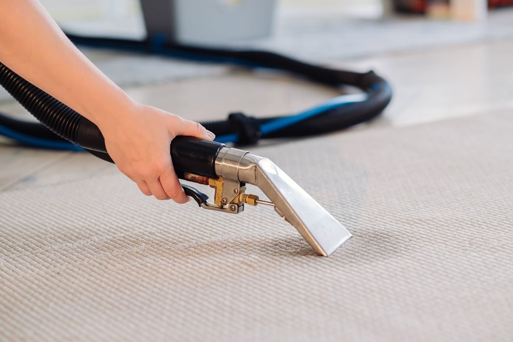 Freshly cleaned residential carpet after professional hot water extraction service in Las Vegas