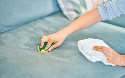 The Best Way to Treat Wine, Coffee, and Food Stains on Upholstery