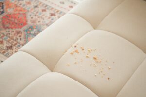 Love Your Carpet professional upholstery stain treatment in Las Vegas
